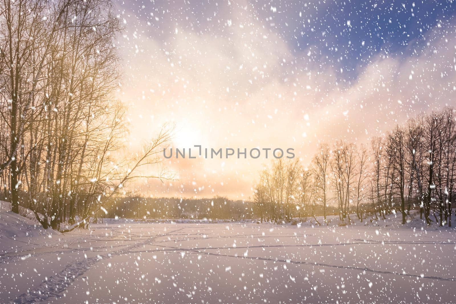 Sunset or sunrise on a frozen pond with birch trees along the banks and falling snow in winter. Snowfall.