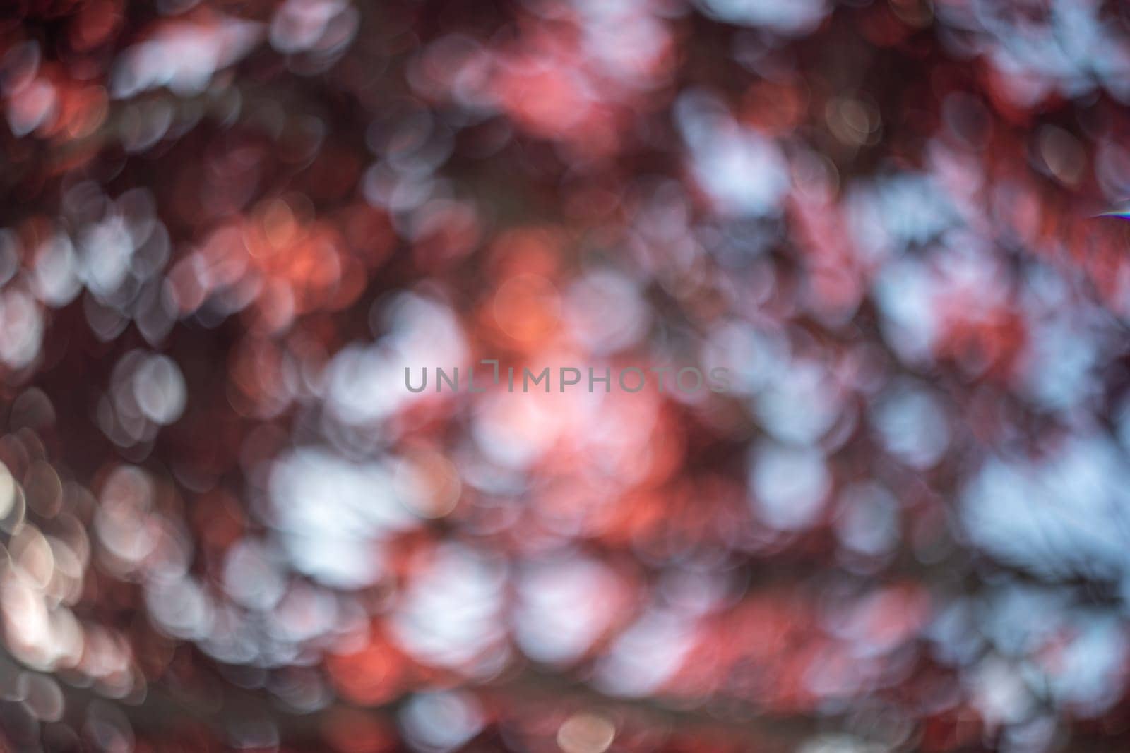 swirling bokeh of a tree taken with a vintage lens