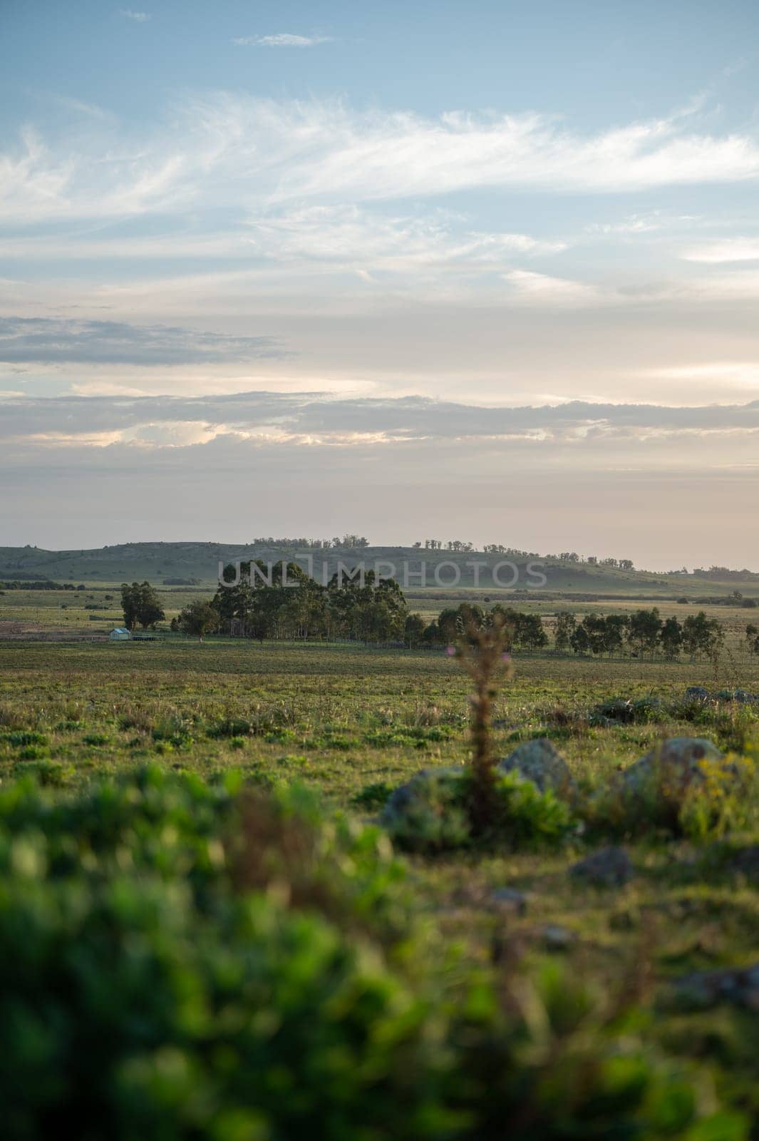 Sunset on sunny day in the countryside of Uruguay. by martinscphoto