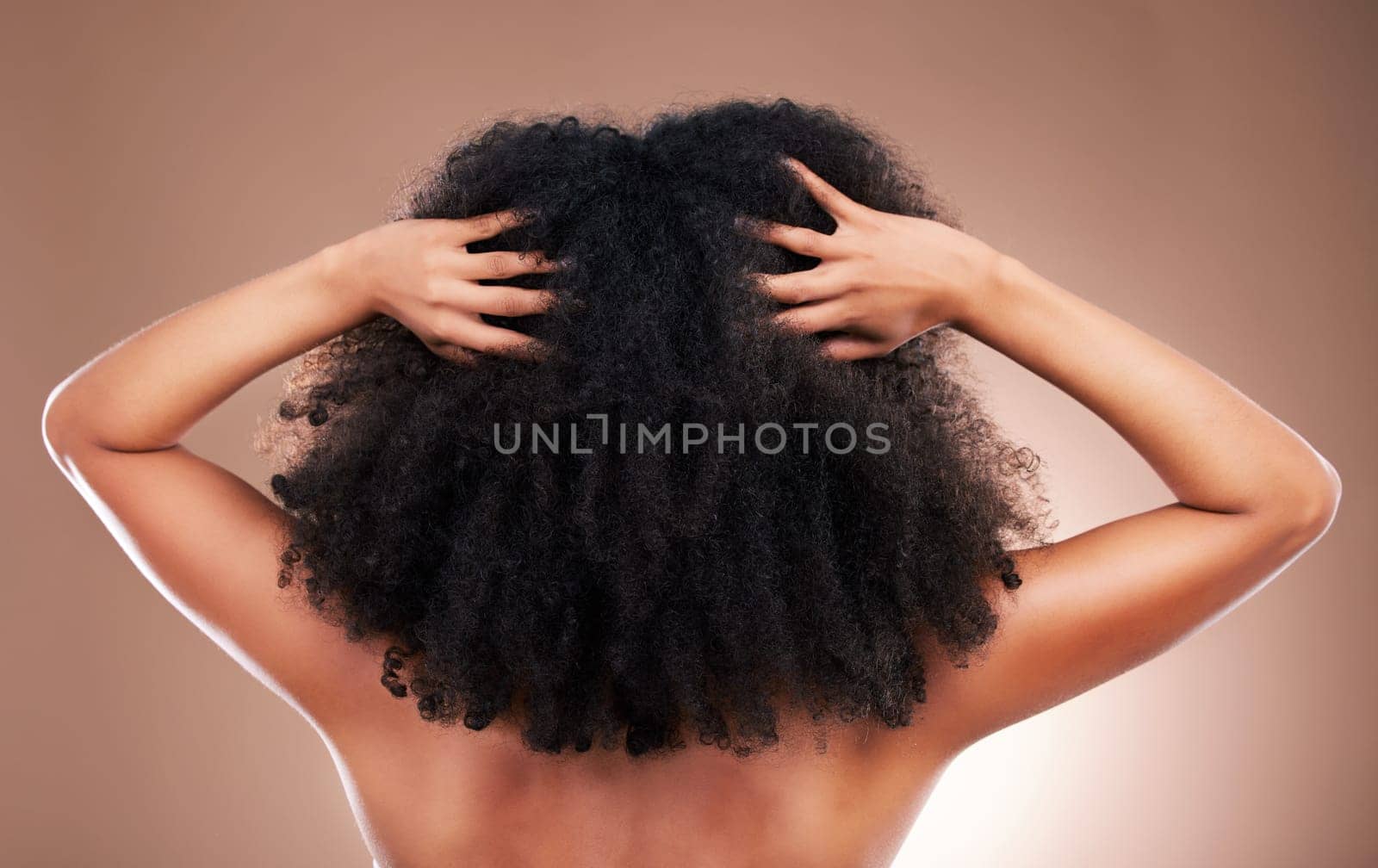 Hands in hair, black woman with afro and beauty, haircare and cosmetics with back on studio background. Female, natural cosmetic treatment with curly hairstyle, rear view and texture with grooming by YuriArcurs