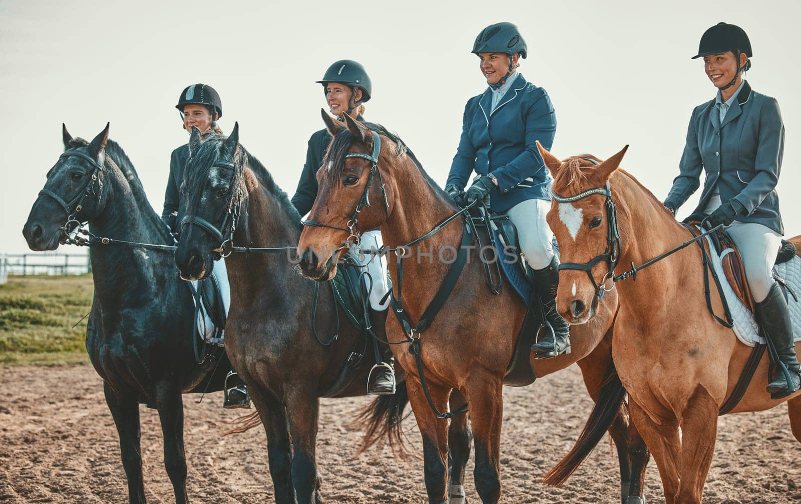 Equestrian, horse riding group and sport, women outdoor in countryside with rider or jockey, recreation and lifestyle. Animal, sports and fitness with athlete, competition with healthy hobby.