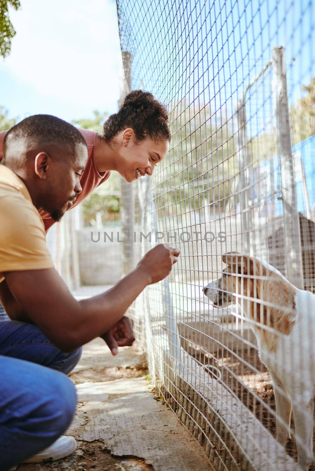 Love, dog and couple at an animal shelter for adoption at an outdoor rescue center or pound. Welfare, charity and young man and woman doing volunteer work with a foster puppy and pet at local kennel