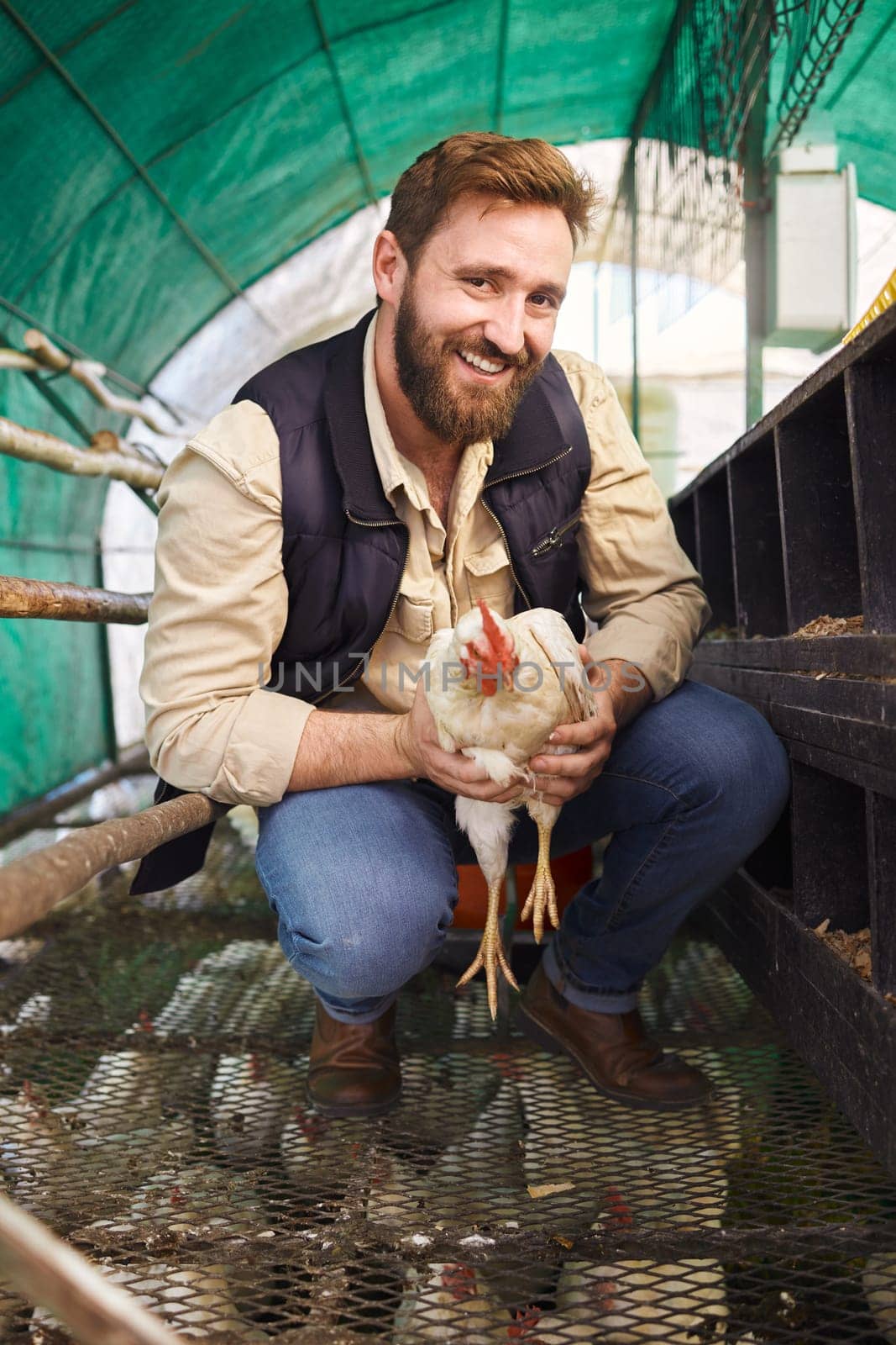 Man, chicken farmer and portrait with bird for eggs, protein or organic meat product in agriculture industry. Farming, poultry expert or inspection of animal for health, wellness or sustainability by YuriArcurs