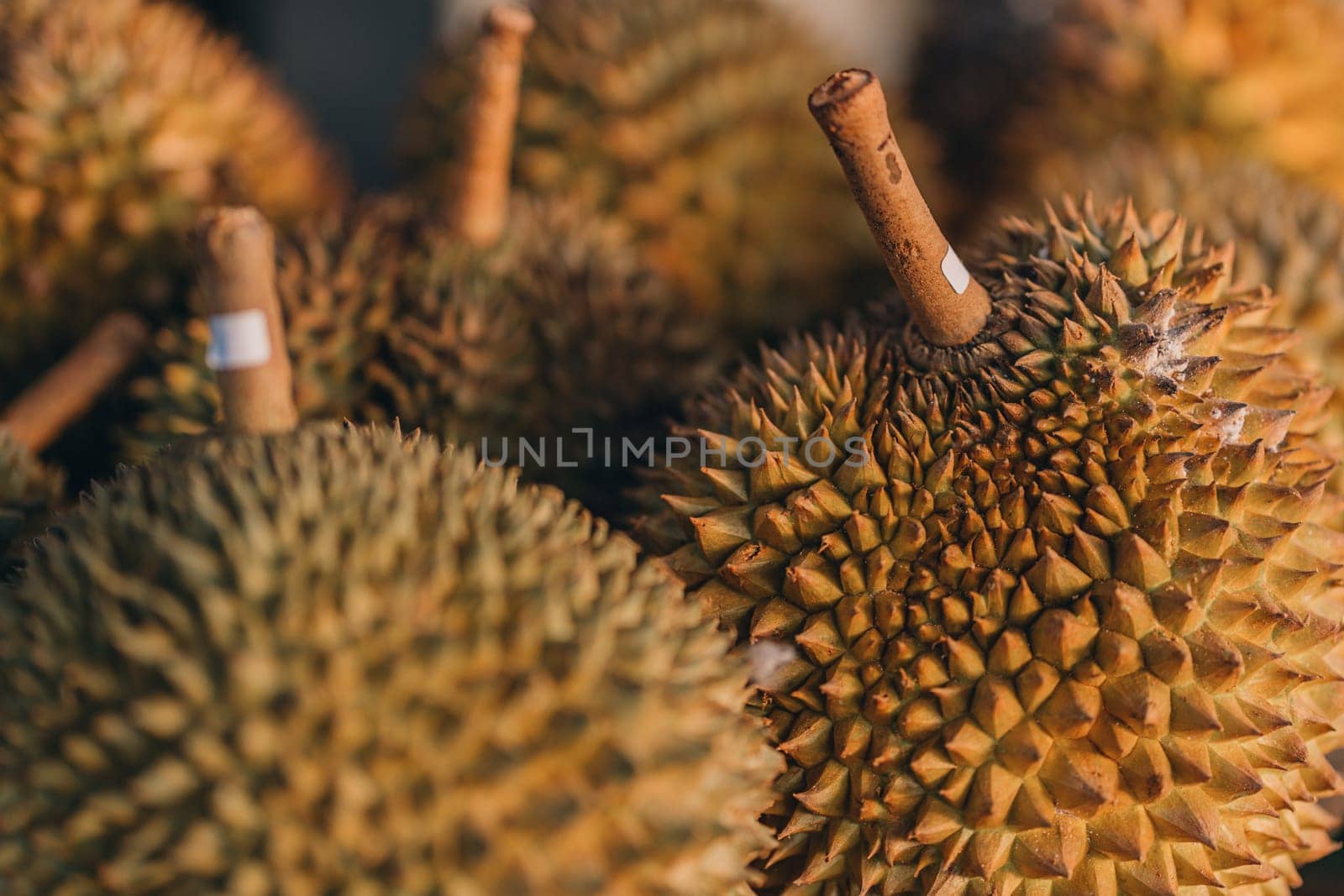 Close up photo of durian fruit at the market. Exotic fresh natural fruits, healthy ripe tropical food