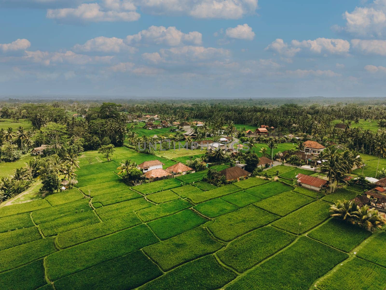 Aerial view of abstract geometric shapes of Bali Lush green rice fields by Popov