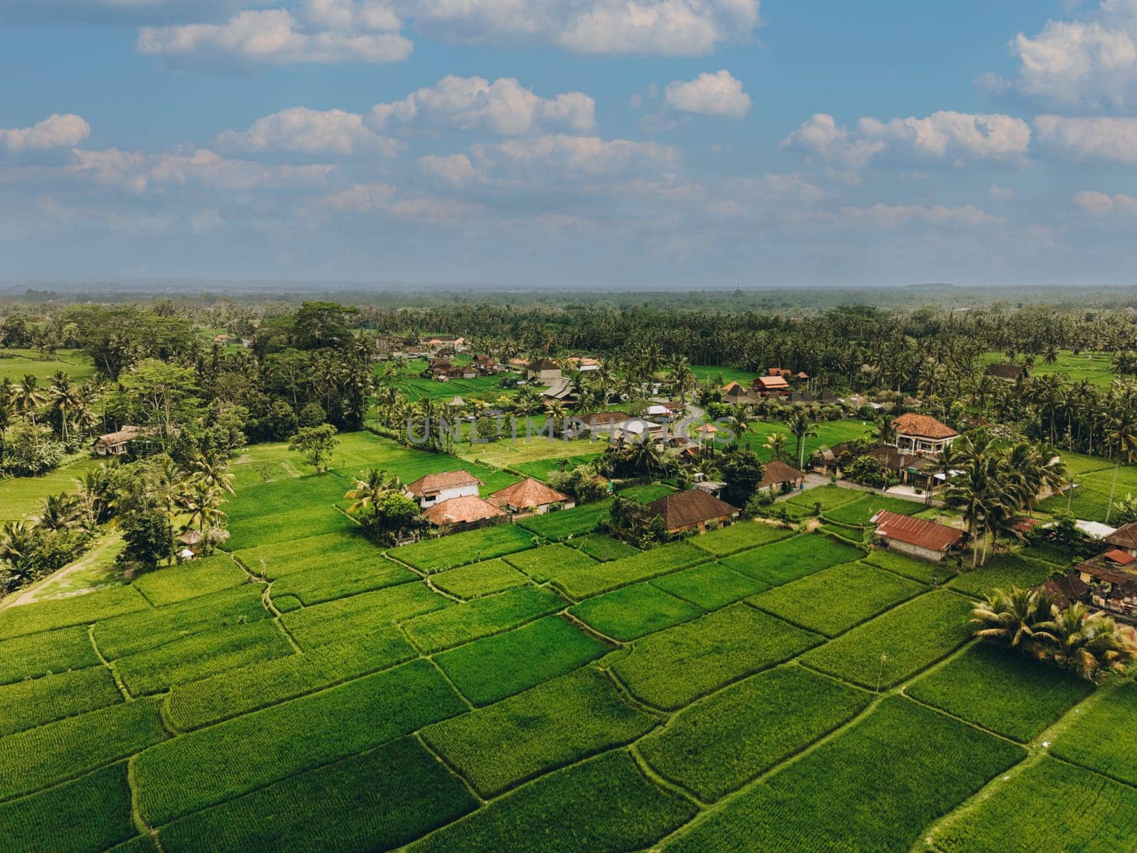 Aerial view of abstract geometric shapes of Bali Lush green rice fields with palm tree and rain forest tropical jungle plantation