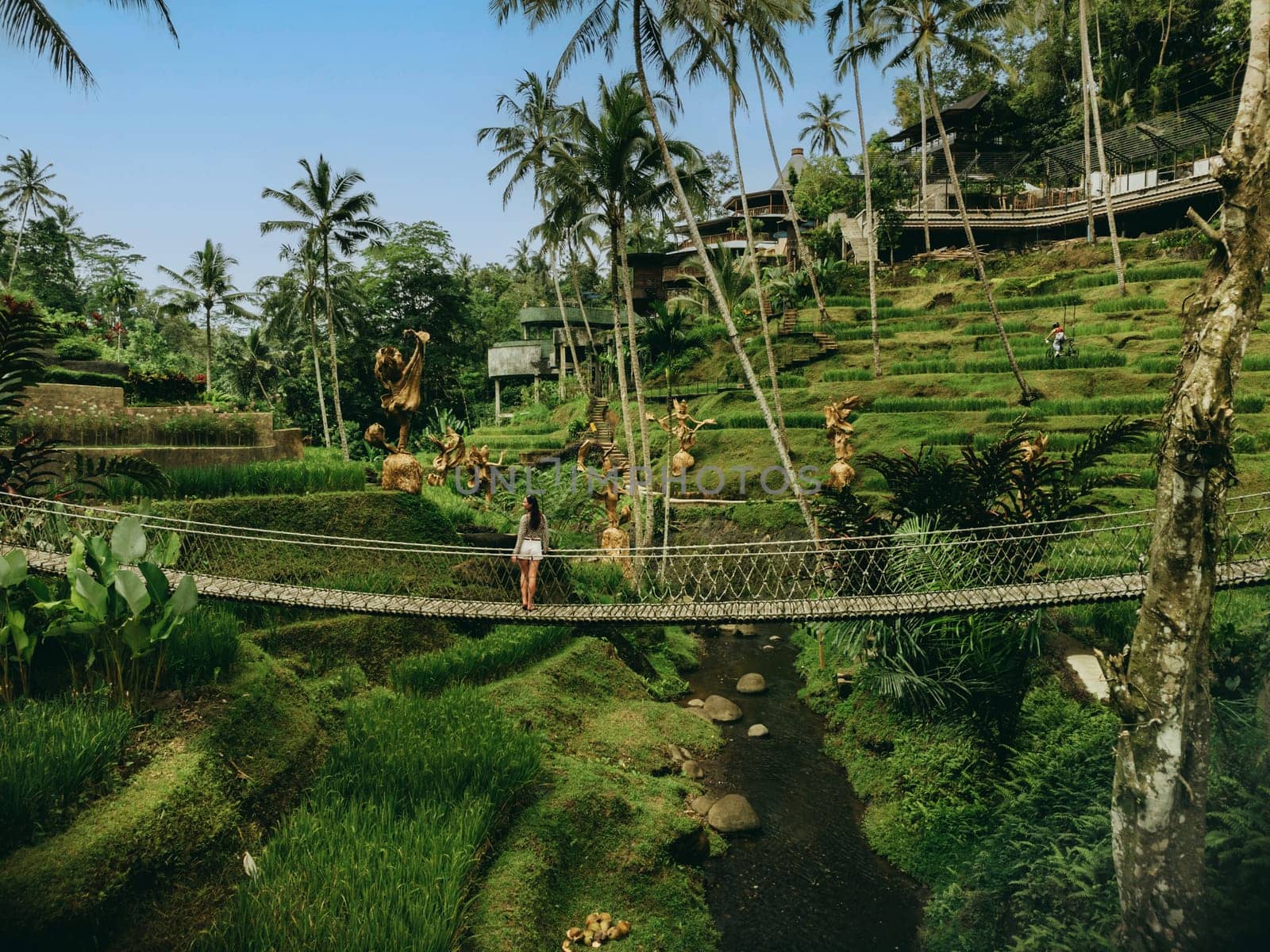 Aerial view of Bali rice terraces bridge with beautiful woman on Bali, Indonesia by Popov