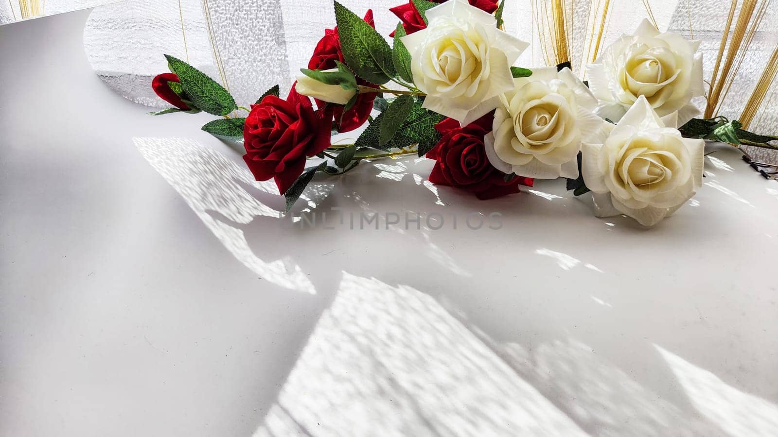 Background and texture with beautiful white and red roses with light and shadow from sun. Abstract cart with frame framed with roses, copy space and place for text. Concept of gifts, beauty, holiday