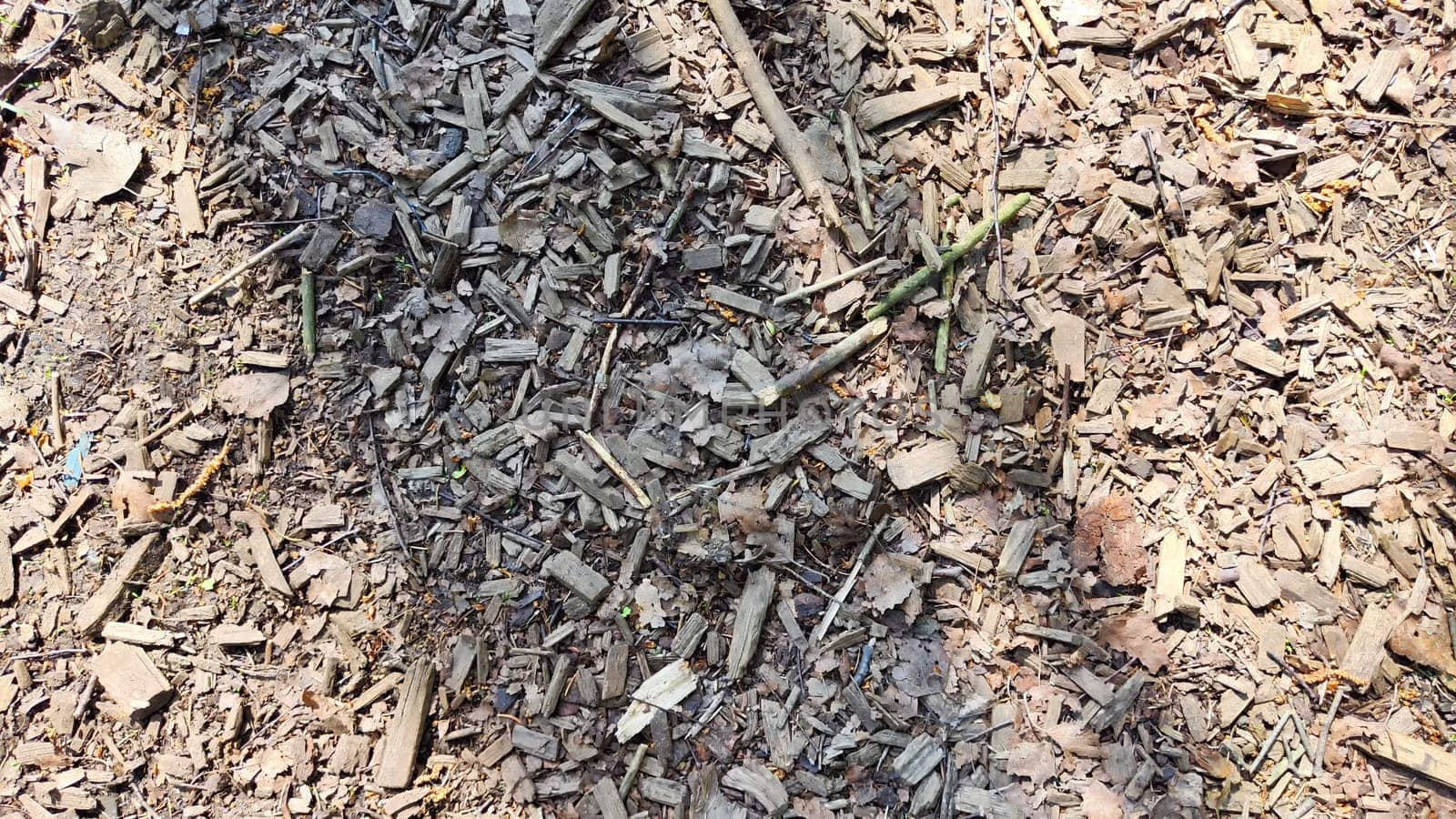 Abstract background and texture of sawdust and pieces of wood. Texture, pattern, frame, copy space. Brown or grey mulch used for gardening, landscape decoration