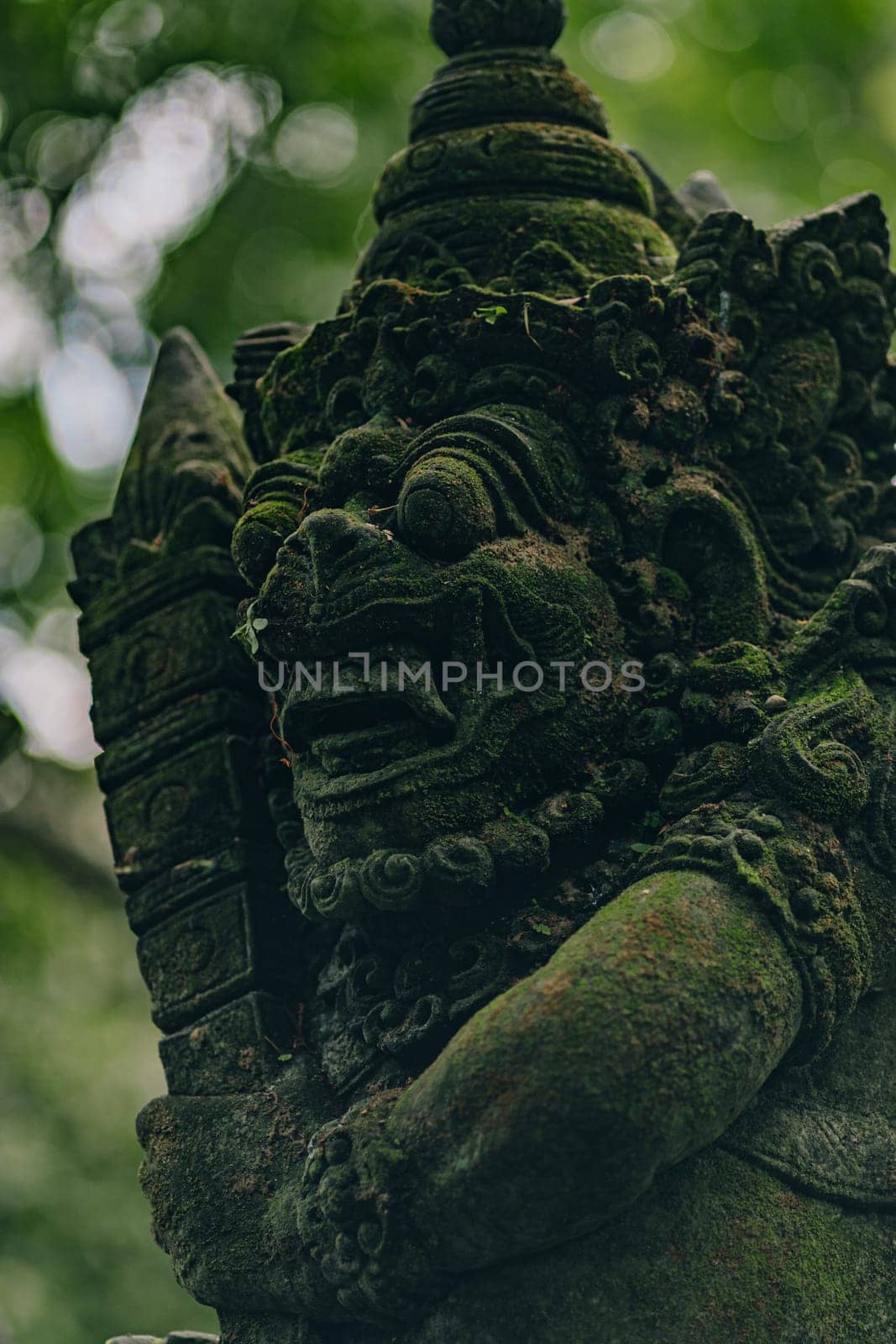 Stone sculpture in sacred monkey forest by Popov