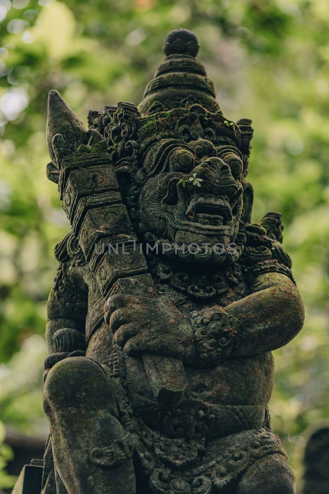 Stone sculpture in sacred monkey forest by Popov