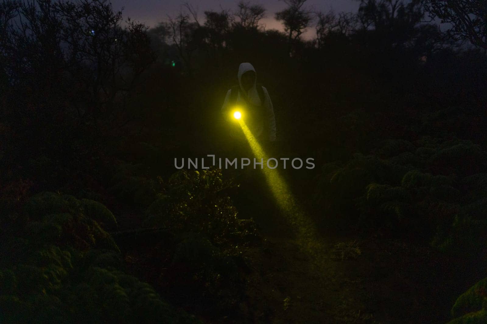 Front view of night man walking with flashlight. Tourist searching road in darknese jungle