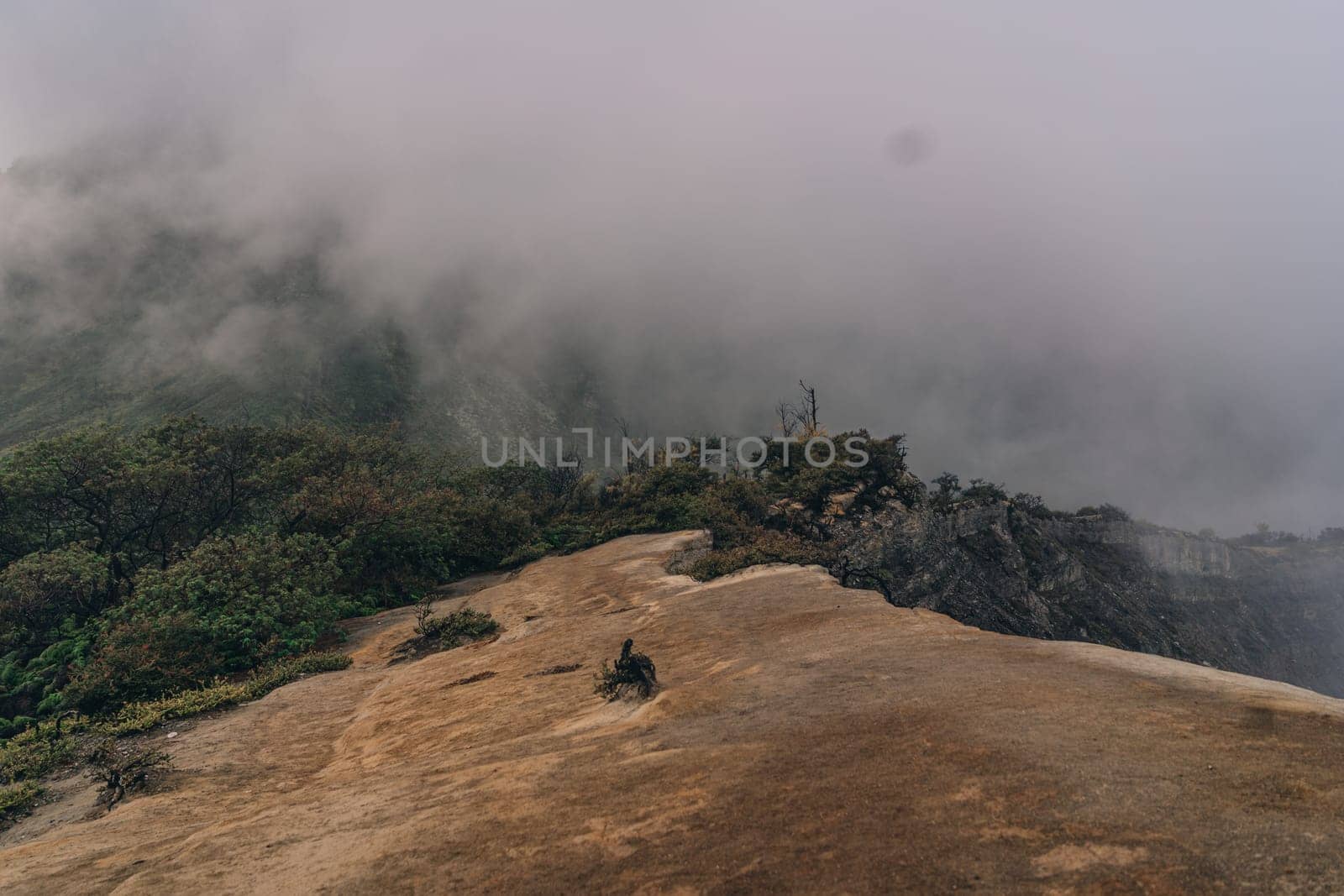 Landscape desert mountain with vegetation in the fog by Popov