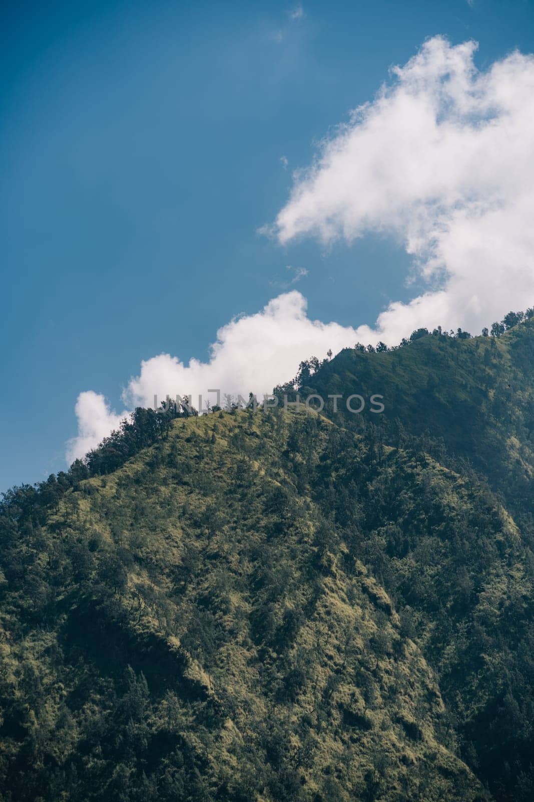 Tropical hills landscape with balinese vegetation. Indonesian rainforest and paddy fields