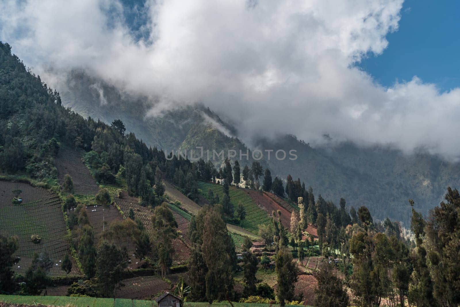 Landscape view of hills nature with cloudy sky. Summer mountains with agriculture fields view