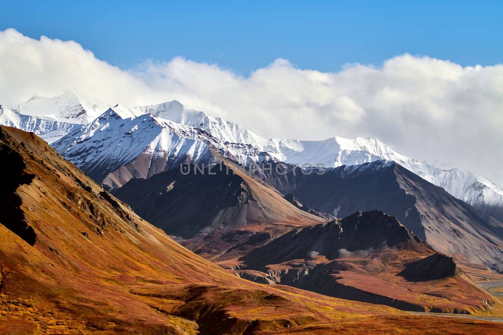 Mt McKinley Alaska by DBibeault