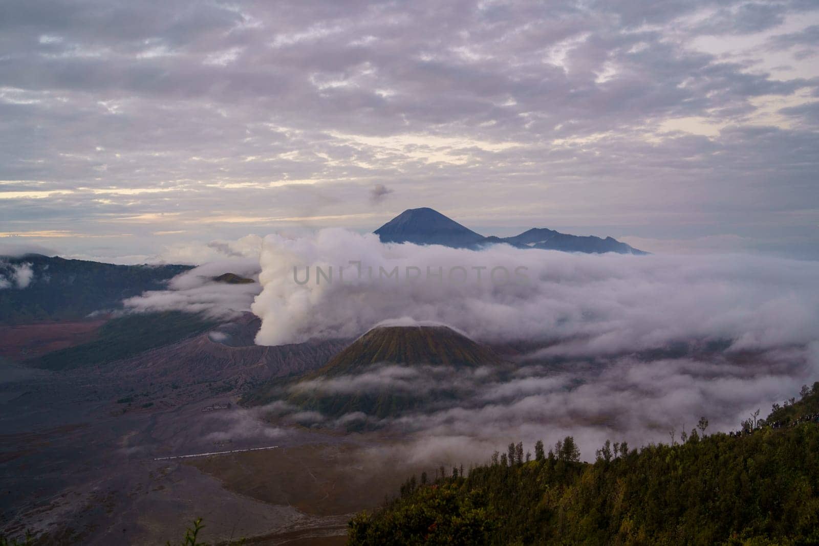 Landscape view of misty mount Bromo volcano by Popov