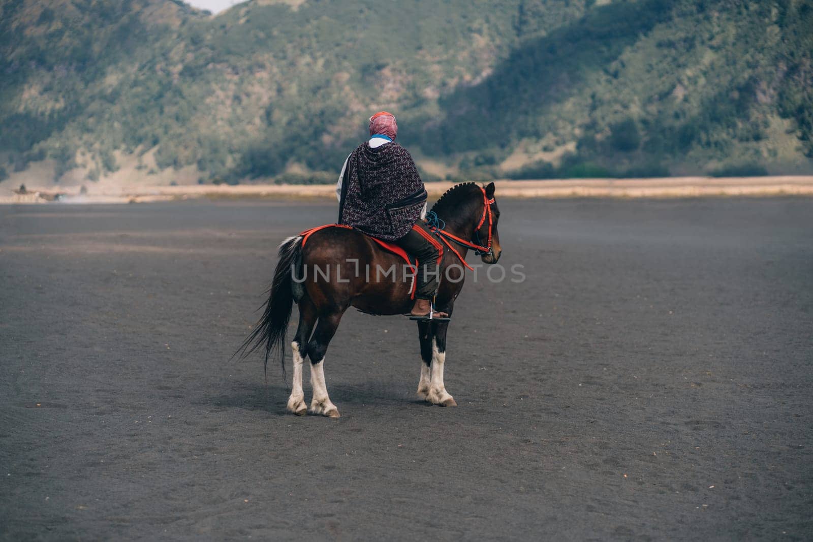 Bromo mount unrecognized horseman riding in the savanna desert by Popov