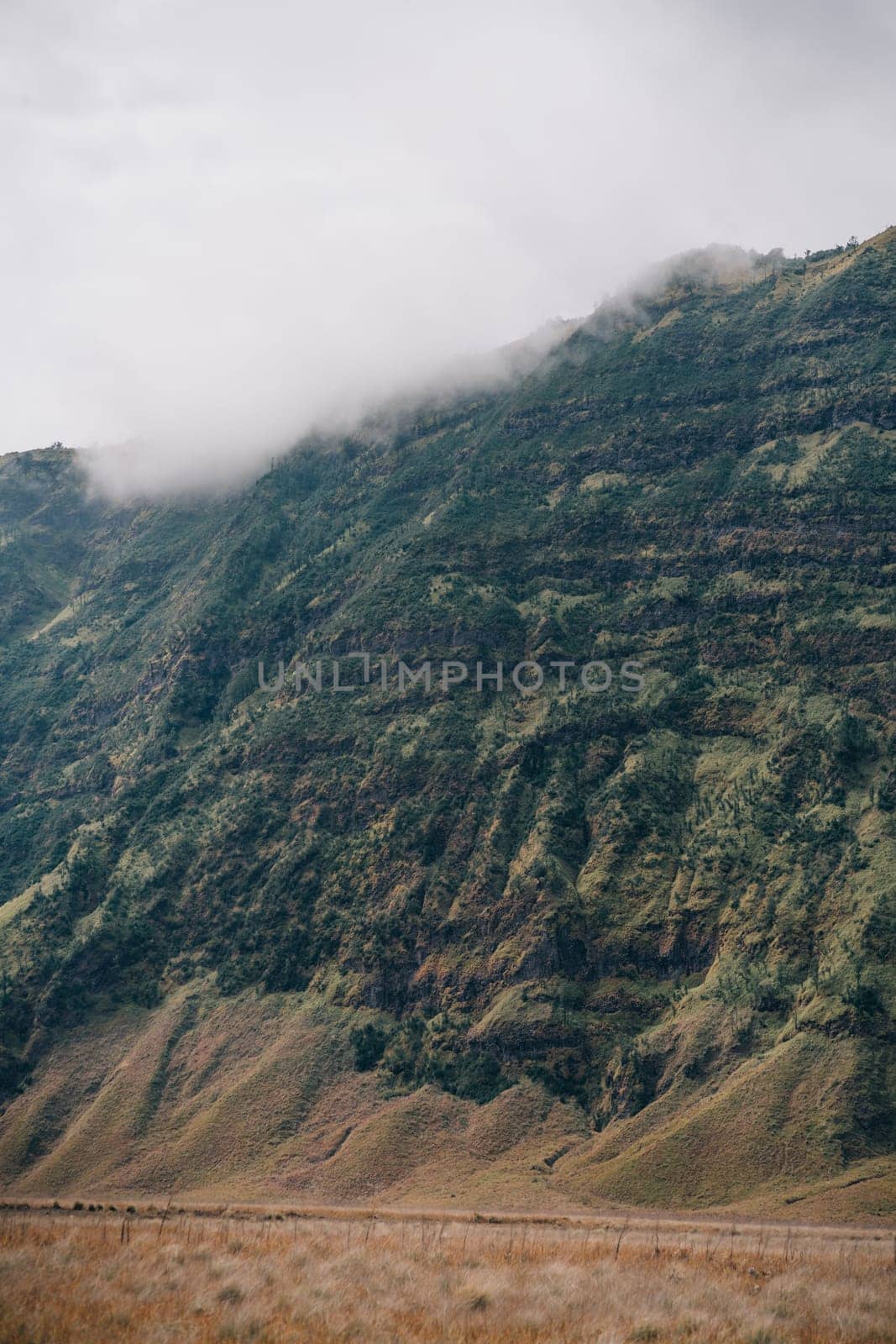 Close up shot of Bromo hills in fog. Foggy Bromo mount volcano, tropical savanna and desert vegetation