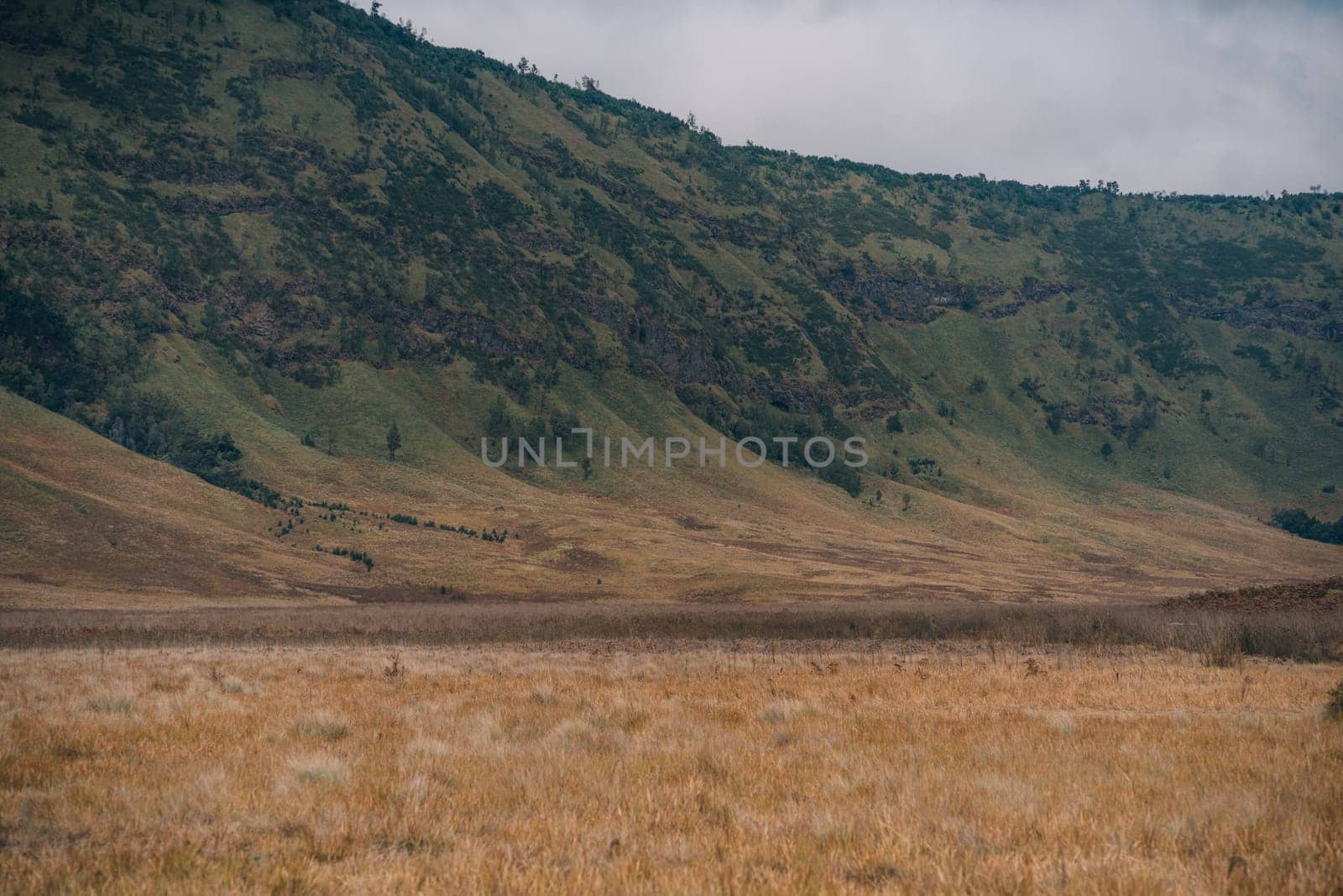 Close up shot of Bromo savanna and hills by Popov