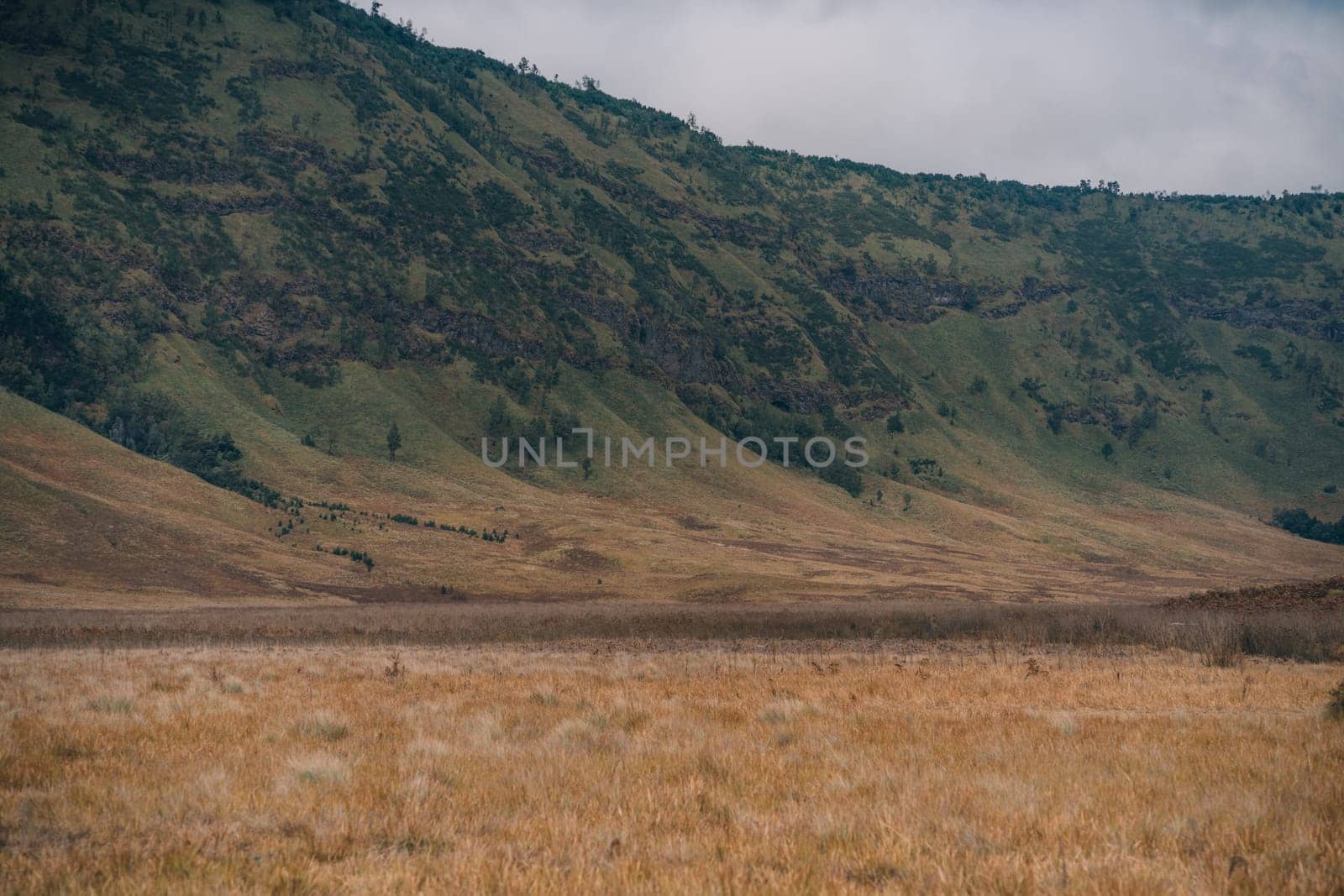 Close up shot of Bromo savanna and hills. Bromo mount vegetation, Semeru National Park desert