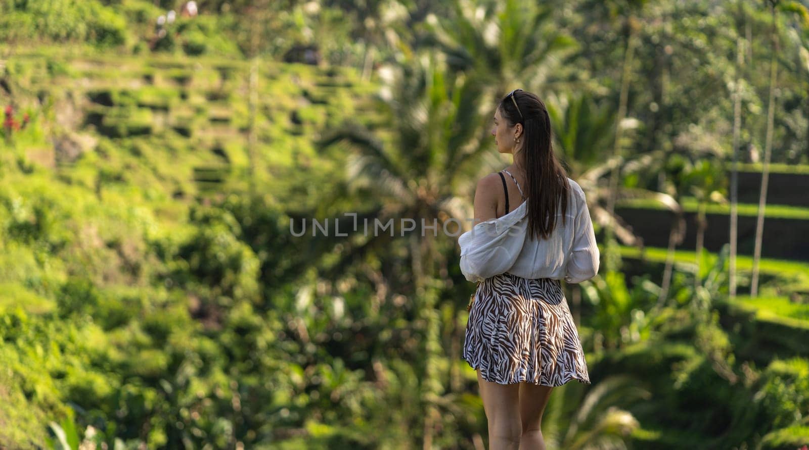 Back view of young stylish lady with rice terrace background. Discovering balinese agriculture and paddy fields