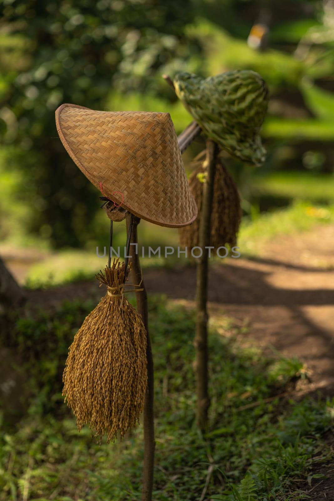 Close up shot of green traditional balinese hat. Handmade hat made from coconut leaves