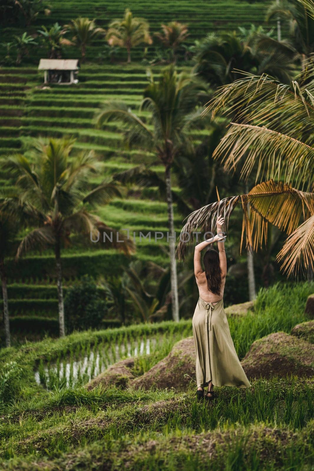 Stylish lady in green sexy dress on footpath rice terrace. Young elegant lady admiring evergreen balinese nature