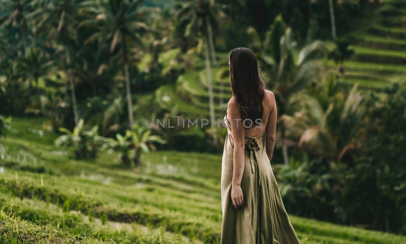 Back view of girl in green dress looking at rice terrace by Popov