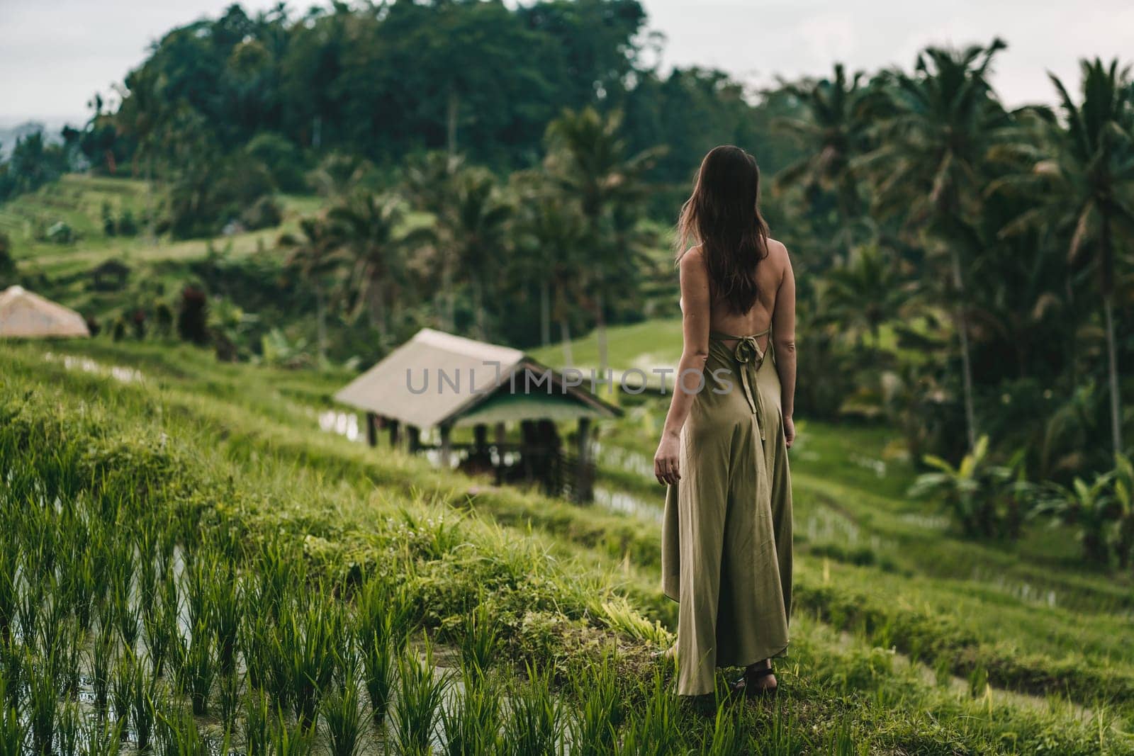 Beautiful landscape view of elegant girl on rice terrace by Popov