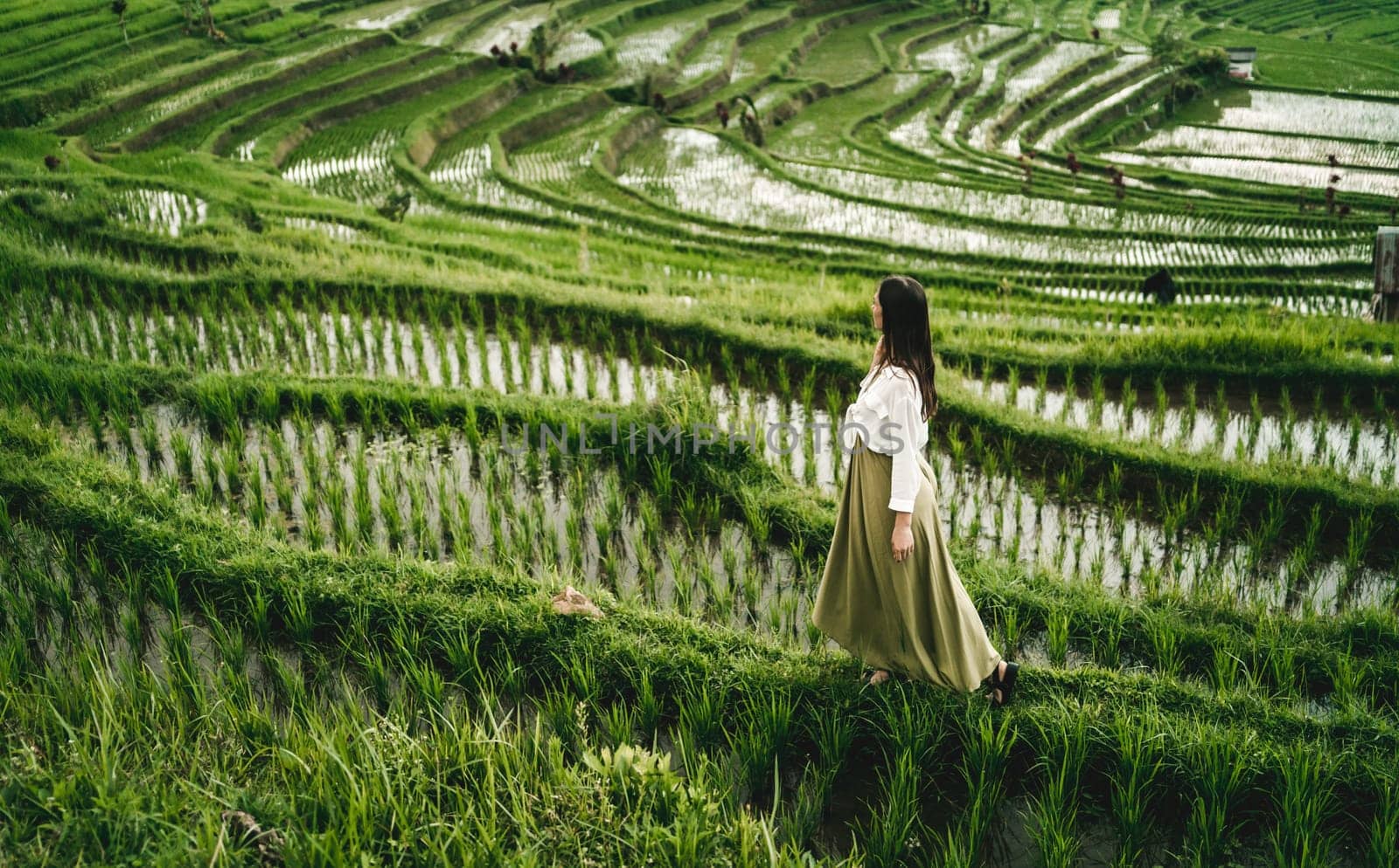 Amazing view of walking girl on rice terrace with water by Popov