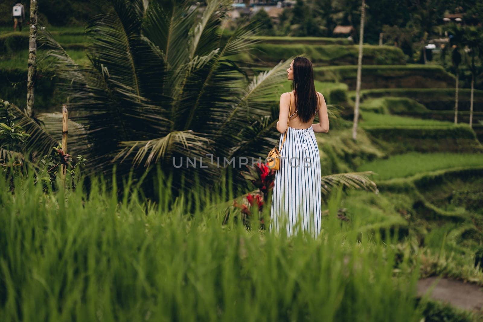 Back view of elegant girl wearing long dress in rice field by Popov