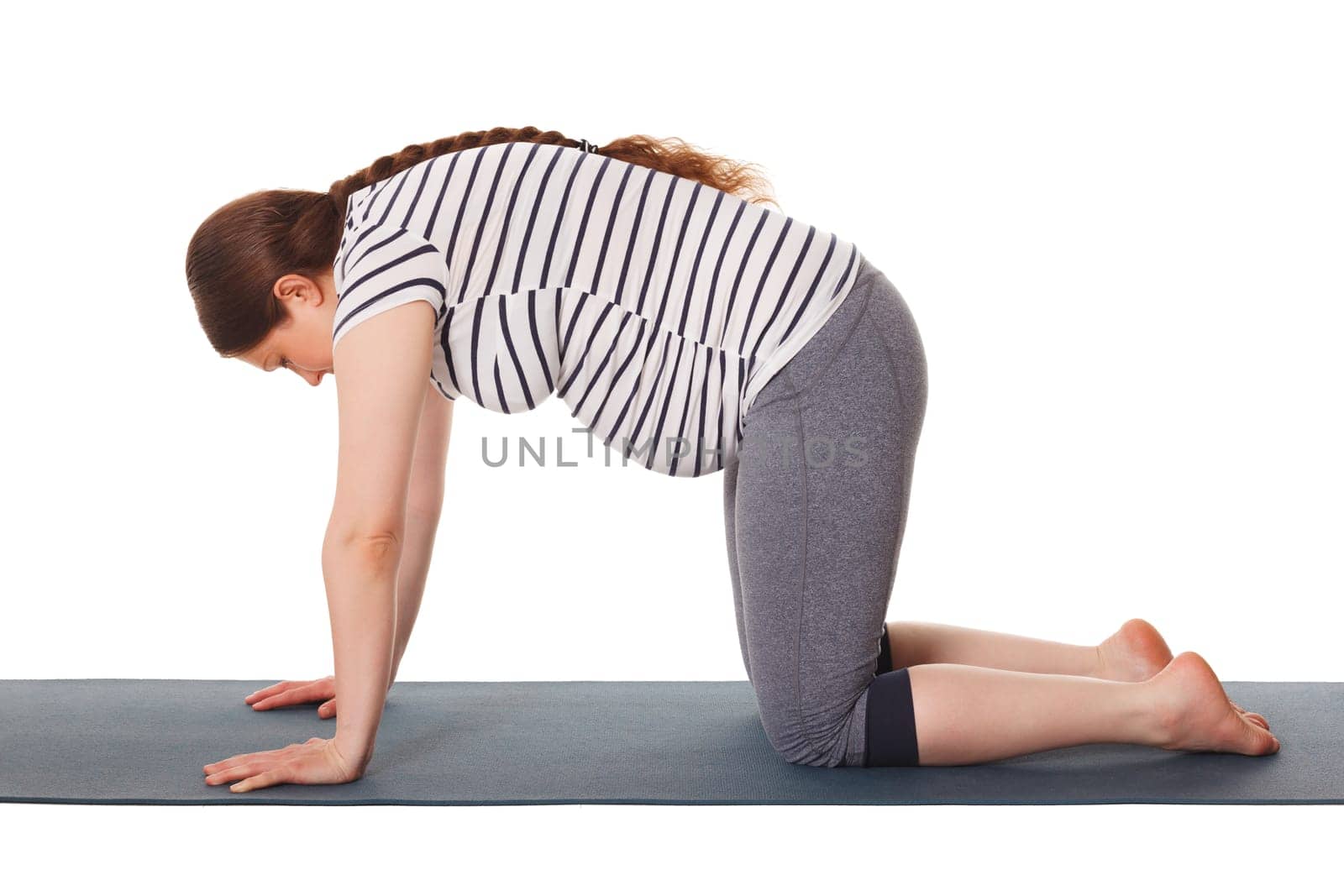 Pregnancy yoga exercise - pregnant woman doing asana Marjaryasana cat pose isolated on white background