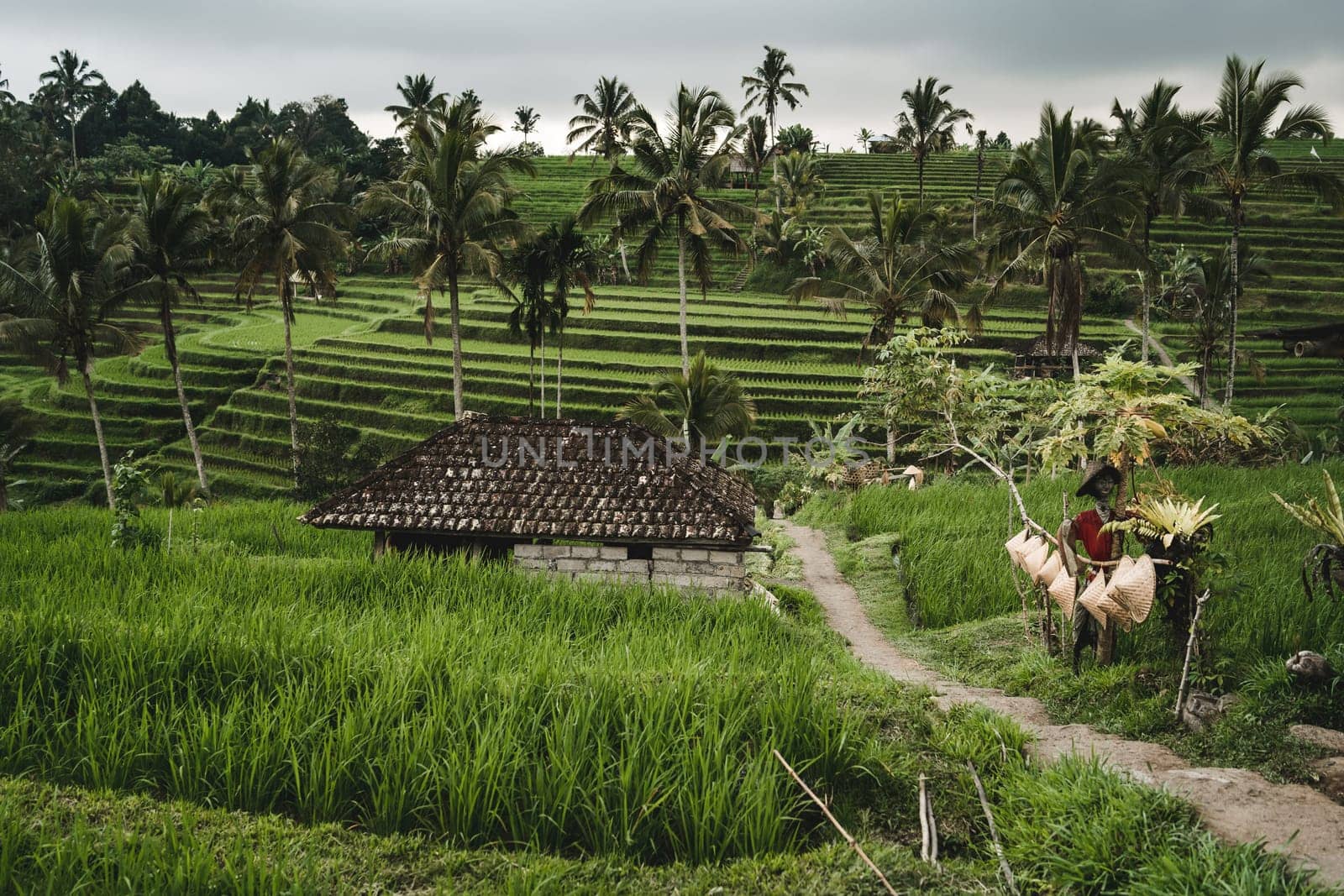 Beautiful view of footway to rice terrace by Popov