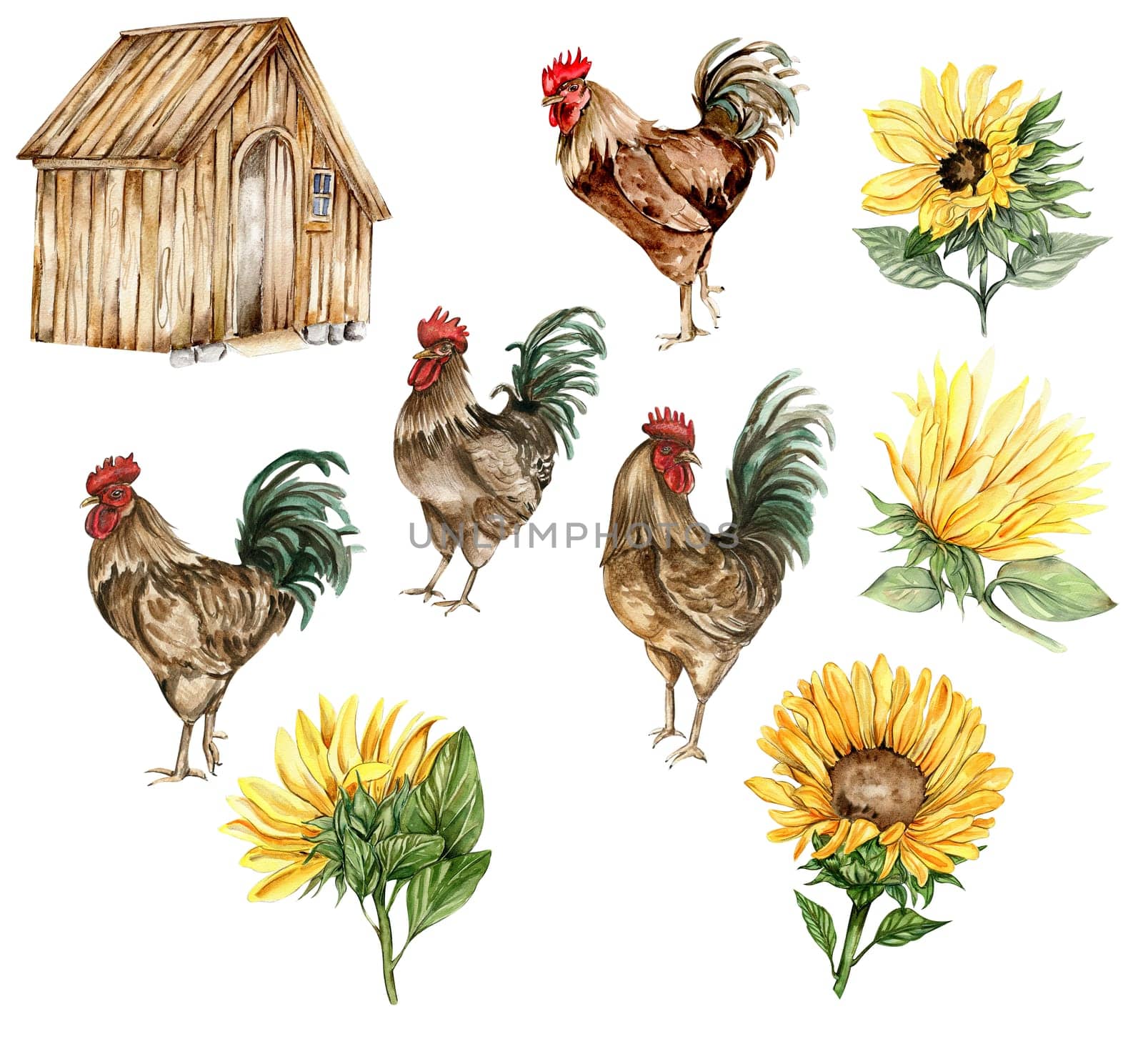Watercolor wooden farmhouse. sunflowers and cock. Hand drawn illustration of a farm. Perfect for wedding invitation, greetings card, posters.