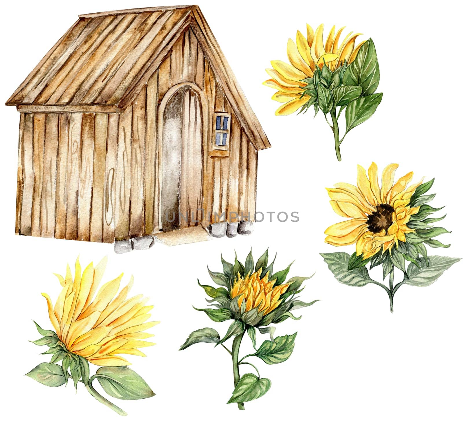 Watercolor wooden farmhouse and sunflowers. Hand drawn illustration of a farm. Perfect for wedding invitation, greetings card, posters. by ArtsByLeila