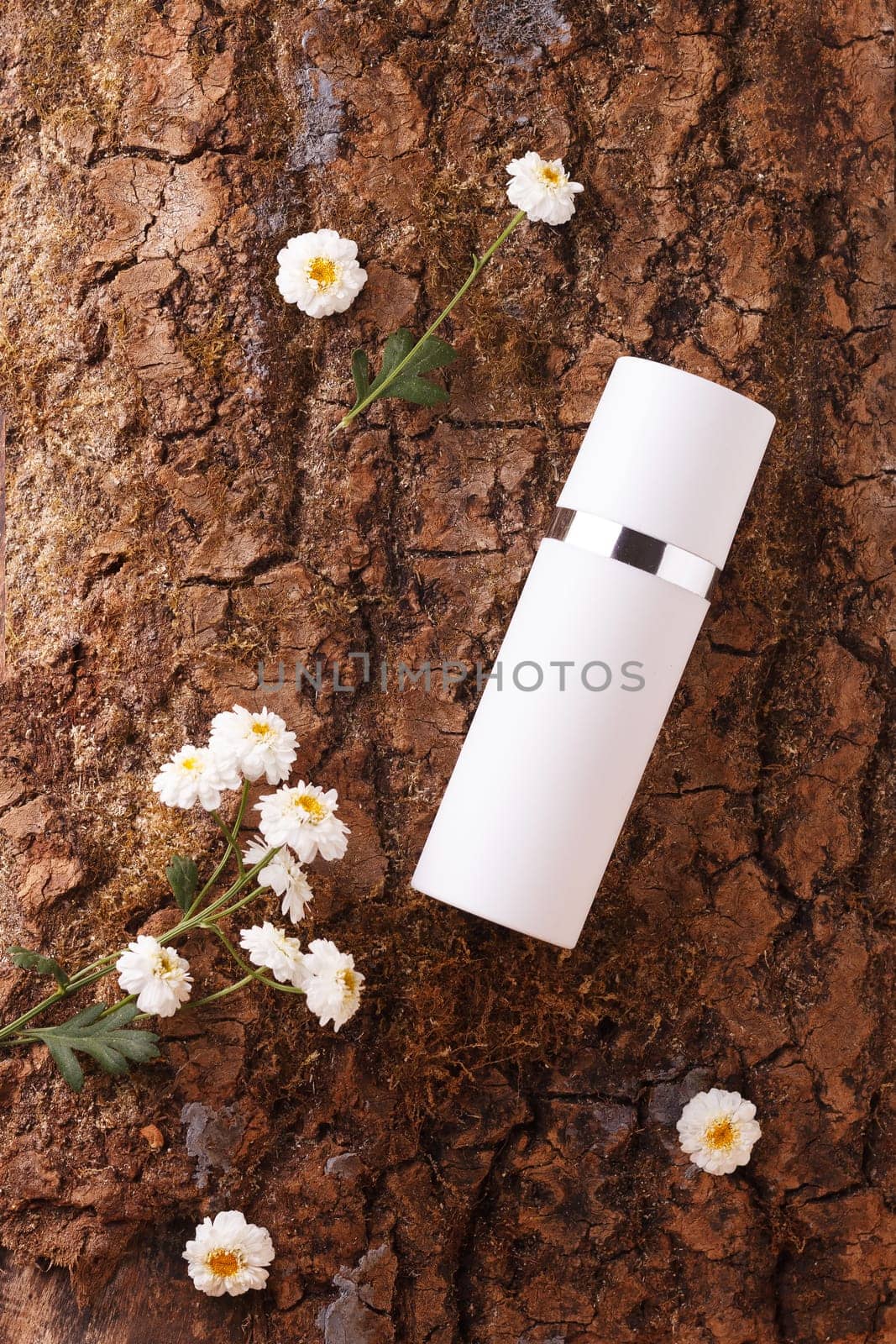 White plastic bottle with moisturizing face cream on tree bark with white jasmine flowers. The concept of bio-organic cosmetics with natural extract and vitamins