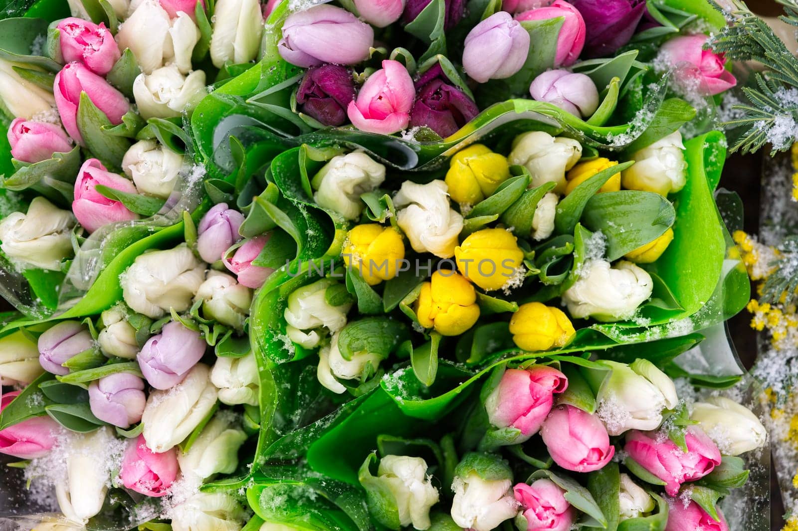 Tulip, tulips bouquet. Present for March 8, International Women's Day. Holiday decor with flowers. Bouquet with colorful tulips. Red tulip, yellow tulip. Holiday floral decor. Spring tulips, bouquet