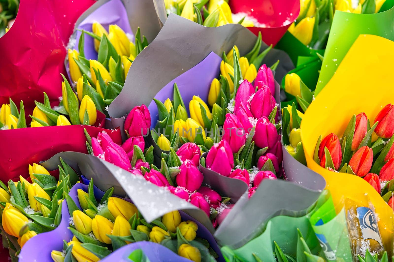 Tulip, tulips bouquet. Present for March 8, International Women's Day. Holiday decor with flowers. Bouquet with colorful tulips. Red tulip, yellow tulip. Holiday floral decor. Spring tulips, bouquet