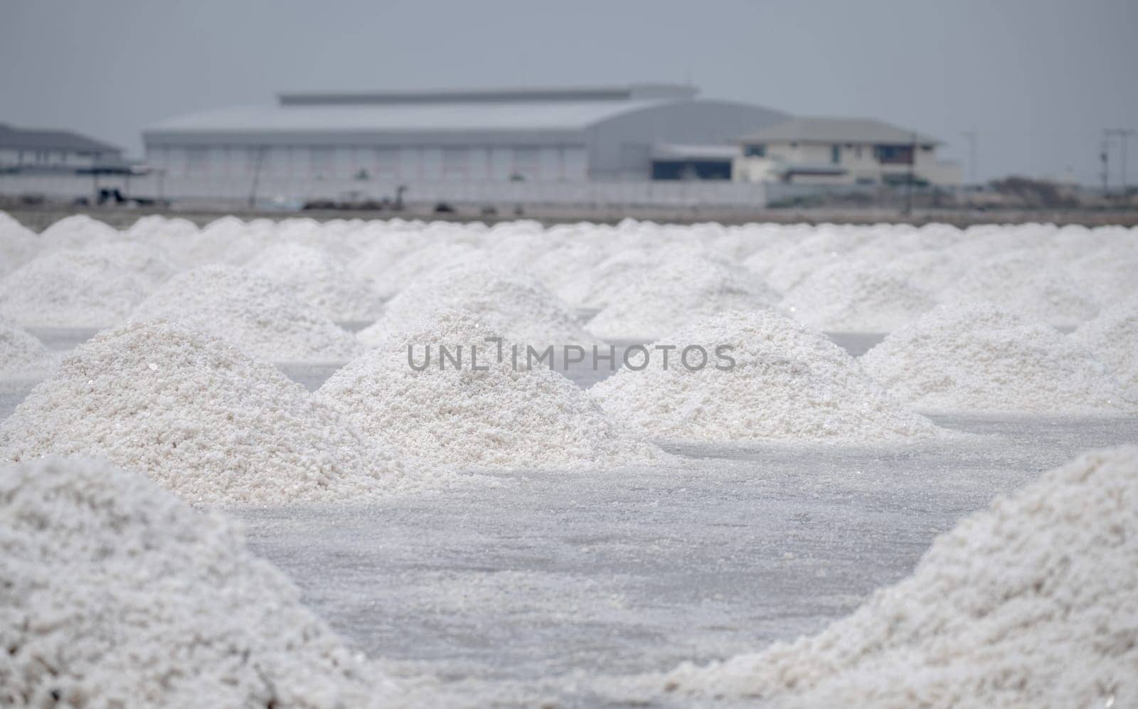 Sea salt farm. Pile of brine salt. Raw material of salt industrial. Sodium Chloride mineral. Evaporation and crystallization of sea water. White salt harvesting. Agriculture industry. Traditional farm by Fahroni