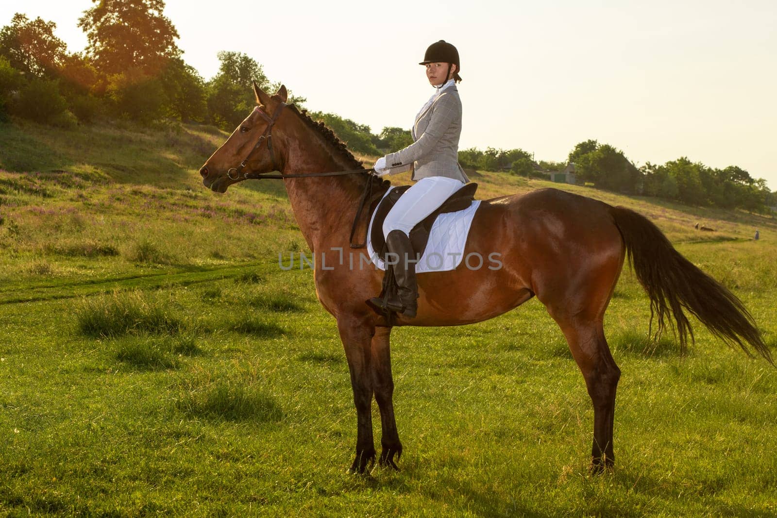 Young woman riding a horse on the green field. Horseback Riding. Competition. Hobby