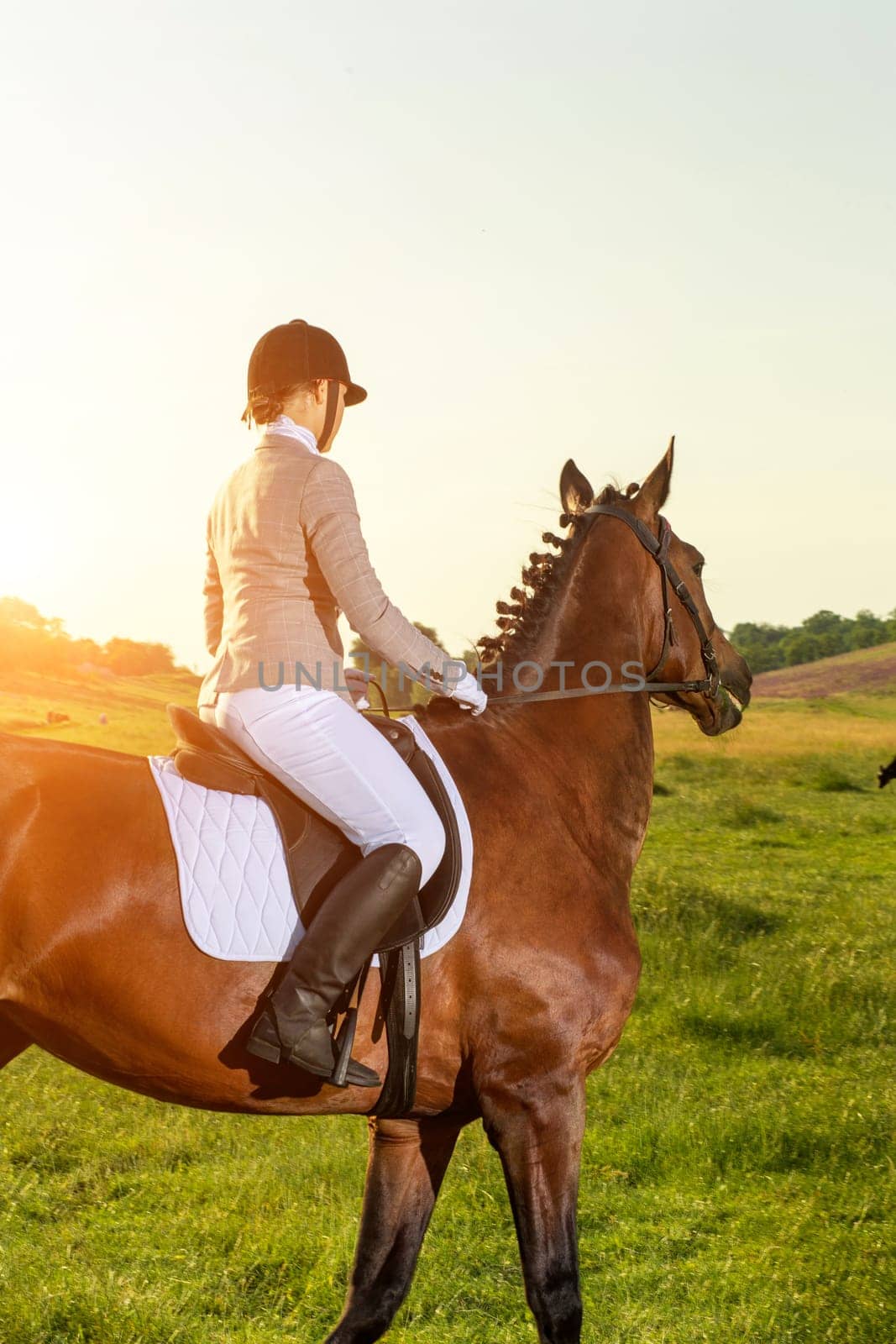 Young woman riding a horse on the green field by nazarovsergey