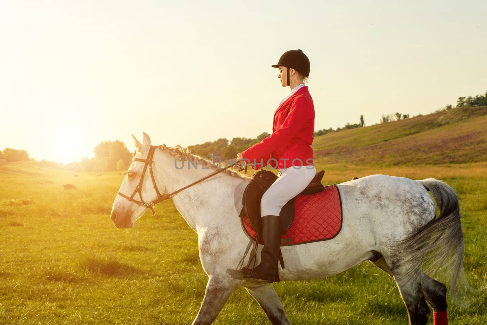 Young woman rider, wearing red redingote and white breeches, with her horse in evening sunset light. Outdoor photography in lifestyle mood