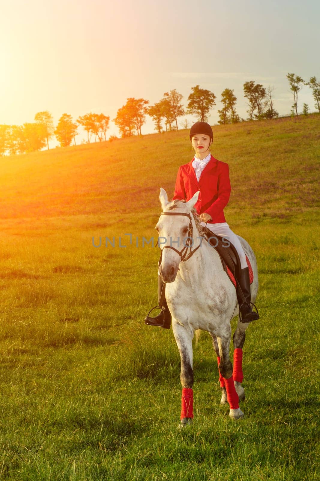 Young woman rider, wearing red redingote and white breeches, with her horse in evening sunset light. by nazarovsergey