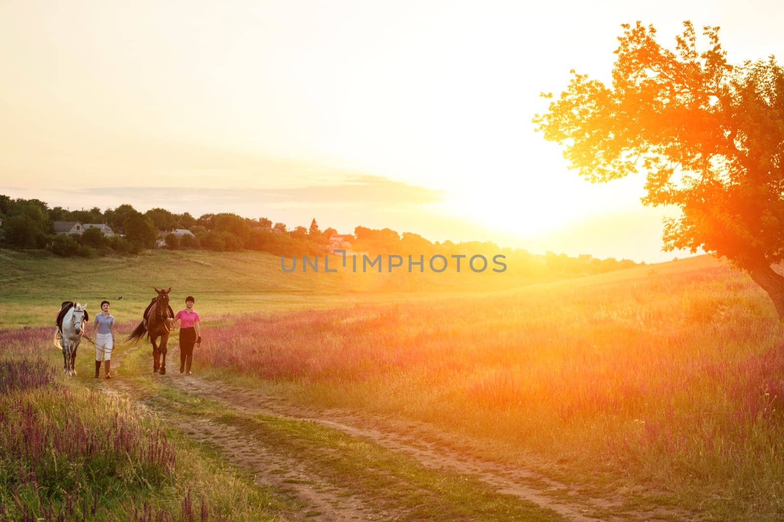 Two woman and two horses outdoor in summer happy sunset together nature. Taking care of animals, love and friendship concept.