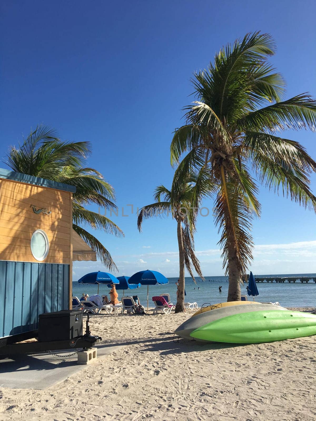 sky,shade,tree,water,body,of,blue,beach,arecales,people,on,azure,caribbean,elaeis,plant,resort,tropics,vacation