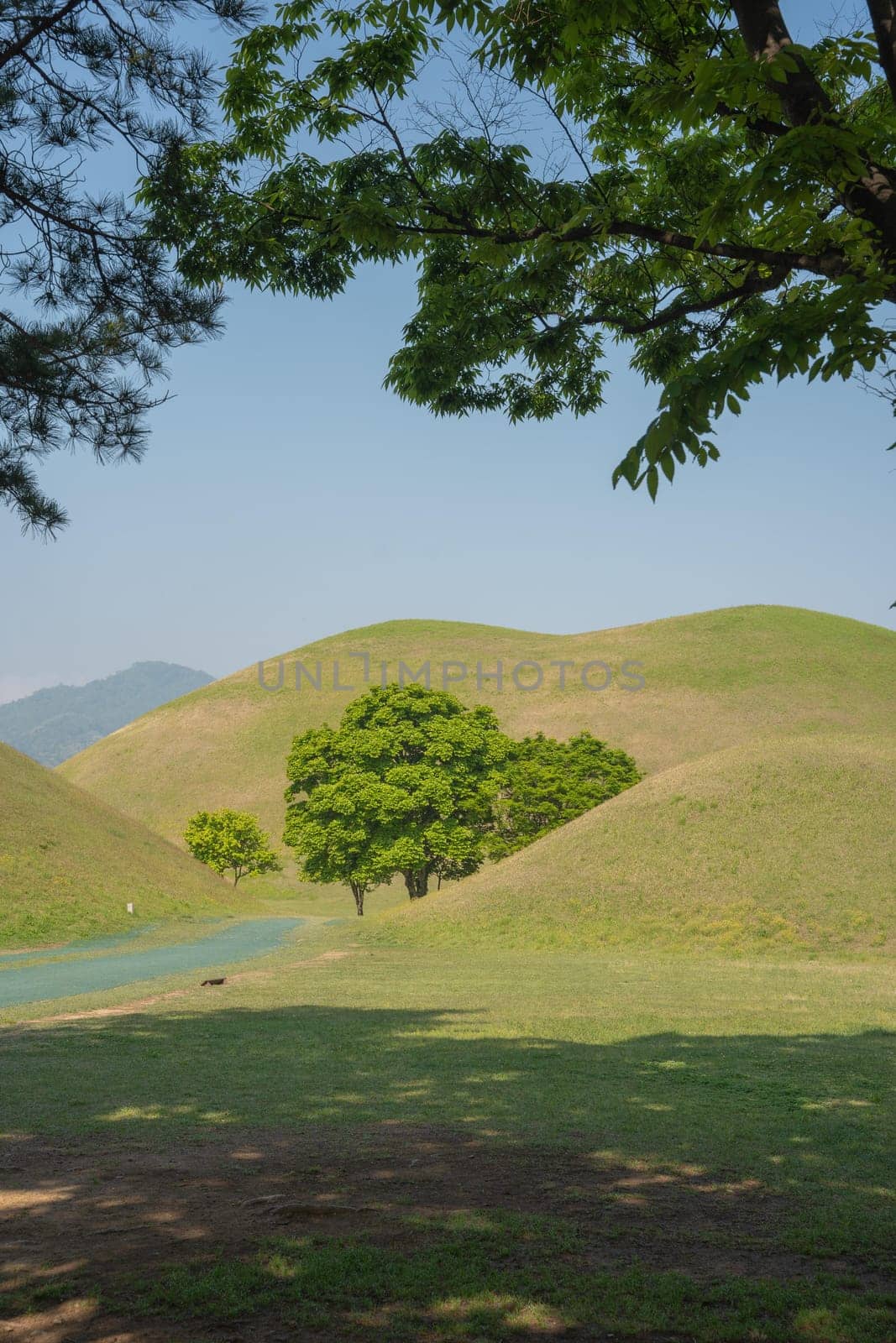 sky,natural,landscape,tree,slope,grassland,mountain,grass,plain,plant,land,lot,aqua,biome,blue,green,hill,nature,turquoise,vegetation,water