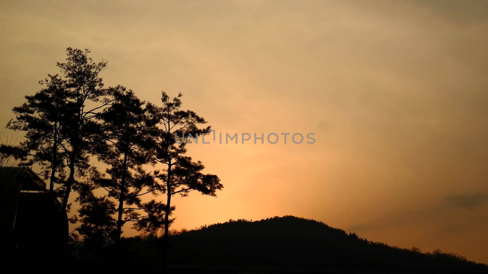 atmosphere,blue,branch,cloud,daytime,horizon,nature,sky,tree