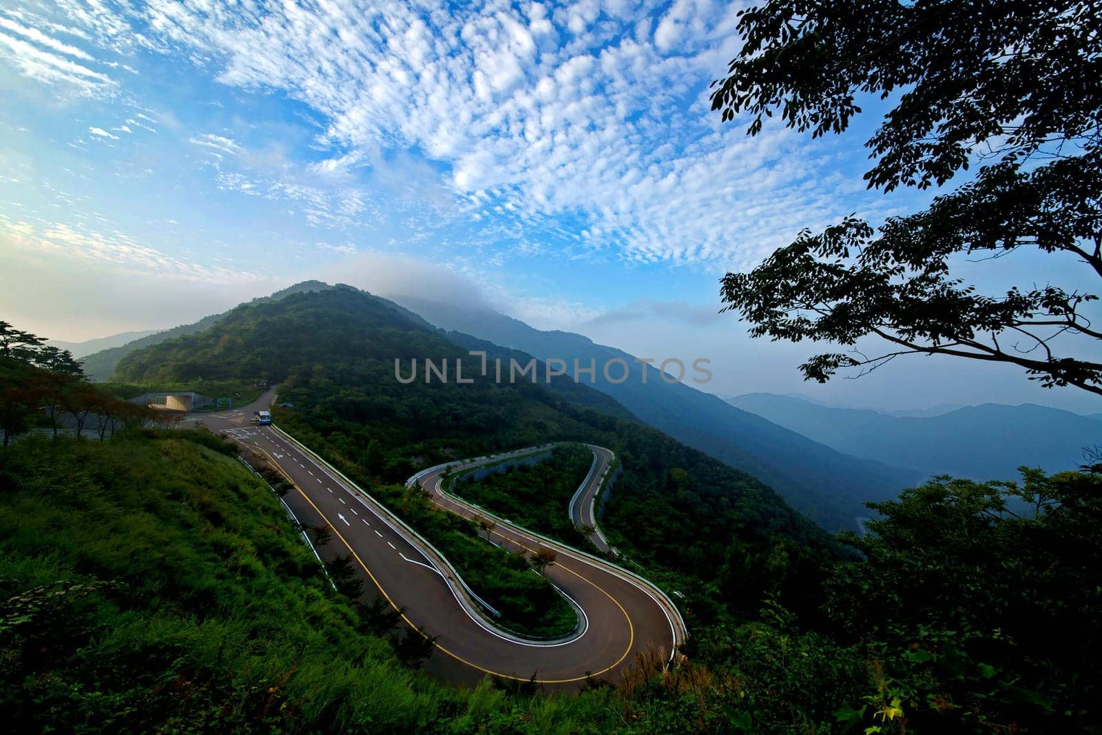 sky,tree,slope,cloud,mountain,grass,plant,highland,highway,infrastructure,landscape,morning,nature,road