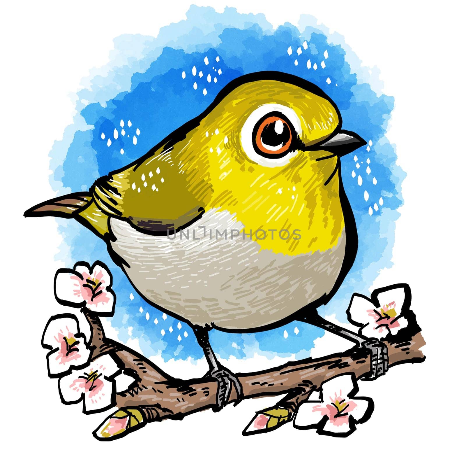 art,beak,cartoon,line,songbird,painting,bird,paint,drawing,illustration,bluebird,graphics